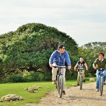 De Hoop Nature Reserve De Hoop Collection - Campsite Rondawels מראה חיצוני תמונה