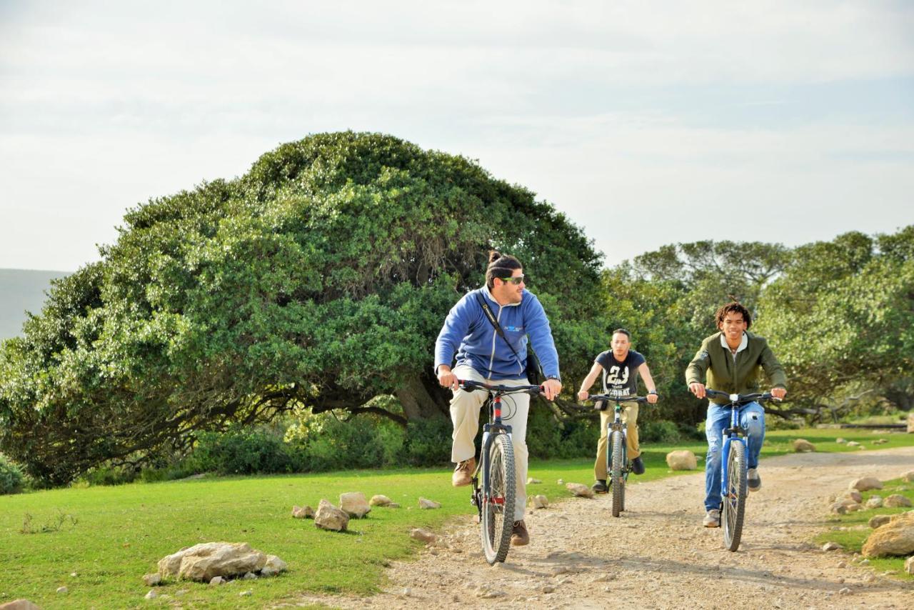 De Hoop Nature Reserve De Hoop Collection - Campsite Rondawels מראה חיצוני תמונה