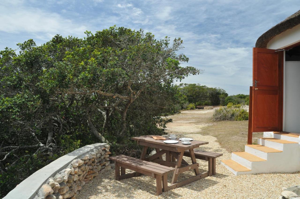 De Hoop Nature Reserve De Hoop Collection - Campsite Rondawels מראה חיצוני תמונה