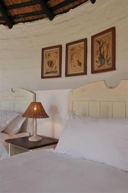 De Hoop Nature Reserve De Hoop Collection - Campsite Rondawels מראה חיצוני תמונה