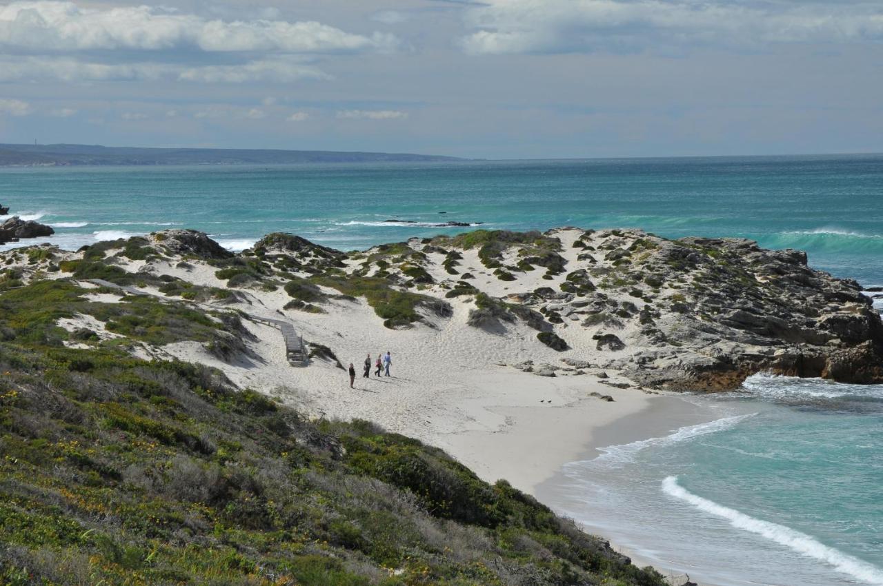 De Hoop Nature Reserve De Hoop Collection - Campsite Rondawels מראה חיצוני תמונה